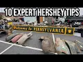 10 Expert Tips For The Fall AACA Hershey Swap Meet