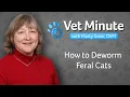 Deworming Feral Cat Colonies