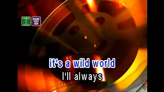 Download WILD WORLD  -  MR. BIG (VIDEOKE) MP3