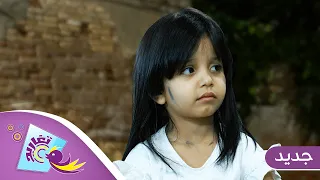 برومو كليب الأجر الكبير جديد قناة تغاريد 