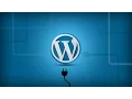 Learn Plugin Development in WordPress By Building Projects