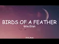 Billie Eilish - BIRDS OF A FEATHER (Lyrics) (Loop Video)