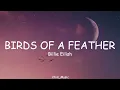 Download Lagu Billie Eilish - BIRDS OF A FEATHER (Lyrics) (Loop Video)