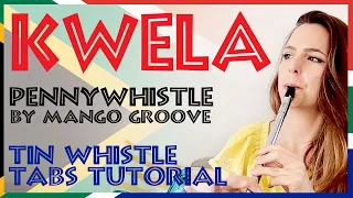 kwela music on tin whistle pennywhistle mango groove tutorial tabs intermediate 