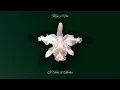 B Sides & Rarities - Kings Of Leon | Bonus Tracks Compilation | ESPECIAL EDITION