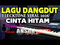 Download Lagu DANGDUT ELECTRIC TONE VIRAL 2025/BLACK LOVE/MEGGY Z/COVER DOOR ANSAR