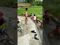 Lagu Keceriaan bocah2 kampung mandi di banda #short