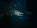 Download Lagu ini hiu atau buaya dah 🗿🤔