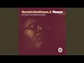 Peace (Sean McCabe Dub)
