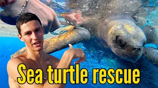 MIRACLE AT SEA: Encounter with the Ocean’s Silent Killer