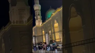 ياسيدة زينب يا صاحبة الشورى   دندنها