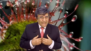 جهانگیر باز اینورا پیدا شدی Jahangir 