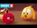 Download Lagu Where's Chicky? Funny Chicky 2021 | POYO IS MAD | Chicky Cartoon in English for Kids