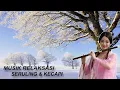 Download Lagu 30 MENIT MUSIK RELAKSASI SERULING DAN KECAPI | INSTRUMEN CHINA PENGANTAR TIDUR
