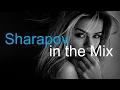Download Lagu SHARAPOV in the MIX Best Deep House Vocal \u0026 Nu Disco WINTER 2022
