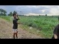 Download Lagu MAKE A TRANSPARENT GAPANGAN PEGON SEMOK KITE DIRECTLY AT TES BOCIL ABDAN