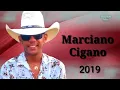 Download Lagu Marciano Cigano 2019