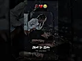 Download Lagu Maut Se Kaho Le jaye Mujhe...💔 Hindi sad shayari WhatsApp status video #sadshayari #sadstatus