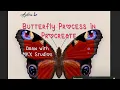 Metamorphosis Creating a 50-Piece Butterfly Installation Procreate Timelapse Art Process