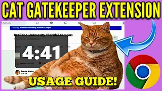How to Use the Cat Gatekeeper Extension in Google Chrome