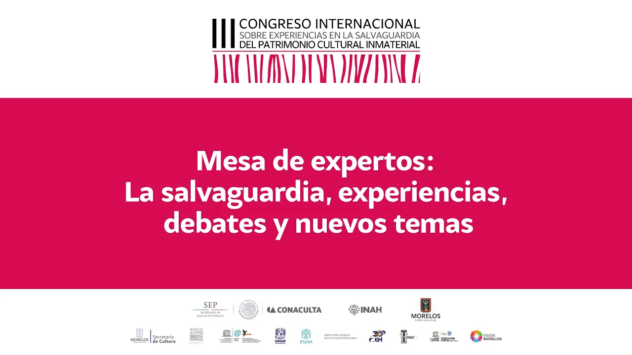 Mesa de expertos: La salvaguardia, experiencias, debates y nuevos temas