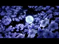 Katy Perry - Wide Awake ( Slowed + Reverb )