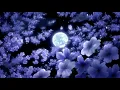 Download Lagu Katy Perry - Wide Awake ( Slowed + Reverb )