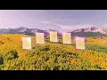Lane 8 - Reviver (Totally Enormous Extinct Dinosaurs Remix) - Lane 8