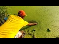 Download Lagu baru di celupin langsung di samber ikan bos#edanmancing#mancing