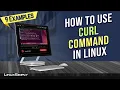 How to Use curl Command in Linux 9 Practical Examples LinuxSimply