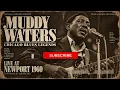 Muddy Waters 🔥 Chicago Blues Legends | Live at Newport 1960 (Inspired Tribute)
