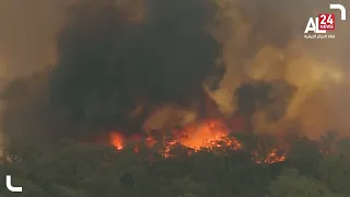 المغرب حرائق غابات عنيفة شمالي البلاد 