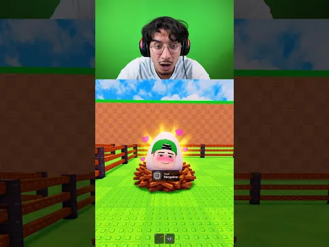 STEAL AN EGG LES YEUX QUI BANDE