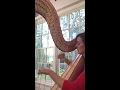 Mel Bonis: Melisande