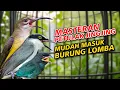Download Lagu MASTERAN PETULAK JINGJING PIJANTUNG PISANG TENGKEK BUTO BURUNG LOMBA MUDAH MASUK
