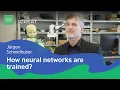 Deep Feedforward Neural Networks Jurgen Schmidhuber Serious Science
