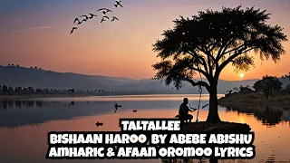 Melodious Music Of Abebe Abishu With Amharic Lyrics Taltallee 