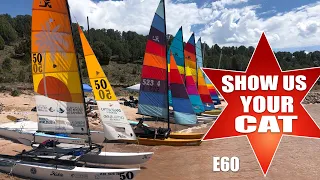 Show us your cat! Episode 60 USA and Singapore