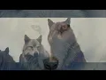 Call to the Wild - Twilight Wolves MV
