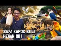 Download Lagu KAPOK BELI HEWAN INI LAGI ⁉️ SELALU APES TERUS