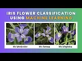 Iris Flower Classification - Part 1 Data Science Machine Learning Python 2023