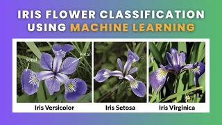 Iris Flower Classification - Part 1 Data Science Machine Learning Python 2023