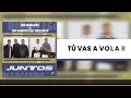 Tu Vas A Volar - Los Diablitos & Los Gigantes Del Vallenato (Audio)