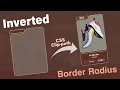 Create Custom Shapes using CSS Clip-Path property