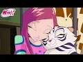 Winx Club Season 4 Episode 14 \