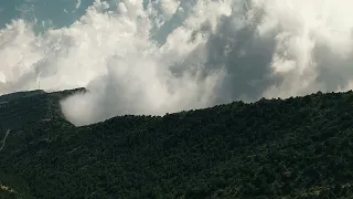 مهما يقولون ما مثل ابها  دندنها