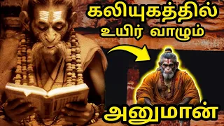 signs that prove lord hanuman is still alive is lord hanuman alive lord hanuman stories