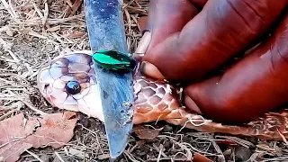 أكثر الأحجار الكريمة ندرة في العالم ستصابون بالذهول 