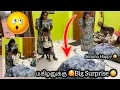 Download Lagu மகிழனுக்கு Big Surprise 😮யாரும் எதிர்பார்க்காத ஒன்னு🤪🤪 Semma Happy Magi 🤩🤩 #ramyoga #மகிழன்