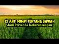 Lagu 12 Arti Mimpi Tentang Sawah, Jadi Pertanda Keberuntungan ‼️